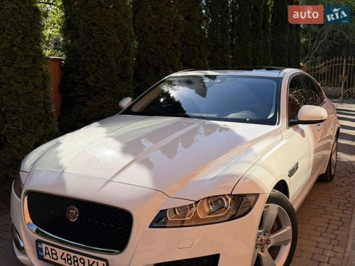 Jaguar