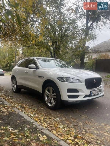 Jaguar