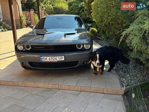 Dodge