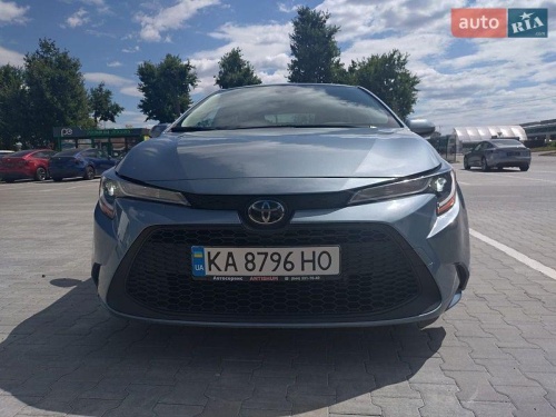 head