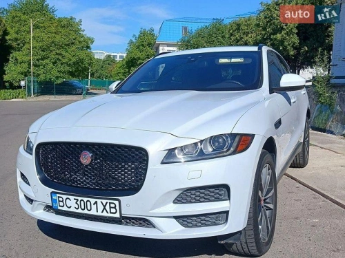 Jaguar