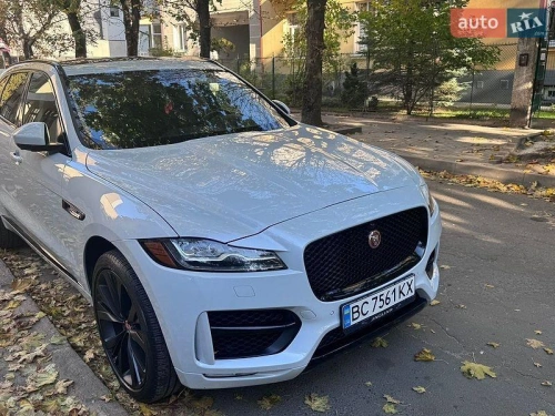 Jaguar