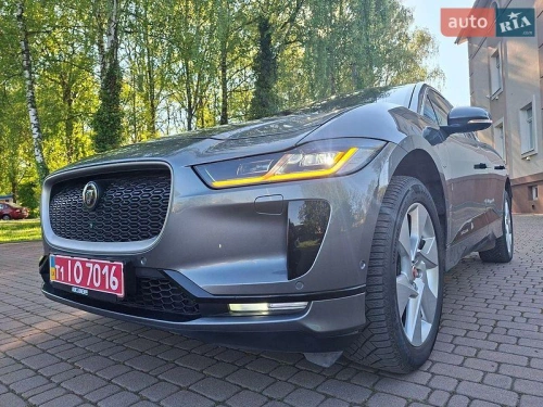 Jaguar