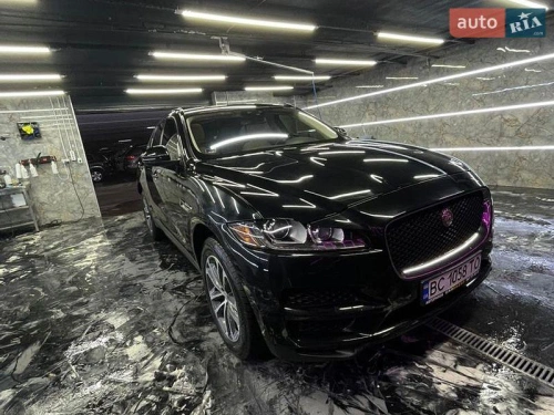 Jaguar