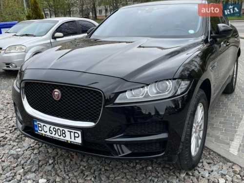 Jaguar