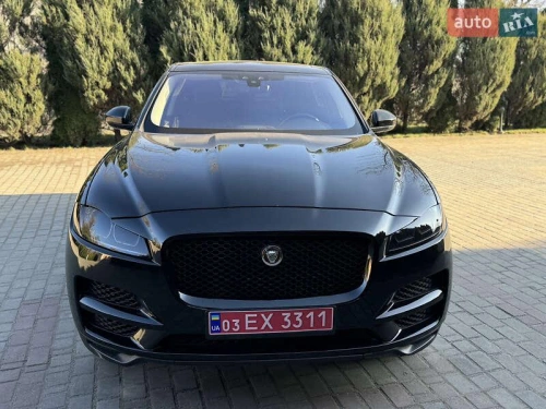 Jaguar