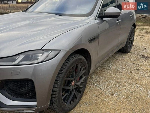 Jaguar