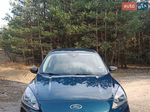 head