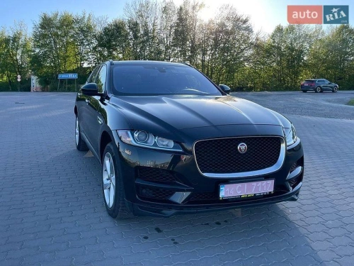 Jaguar