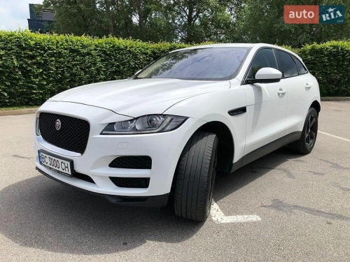 Jaguar