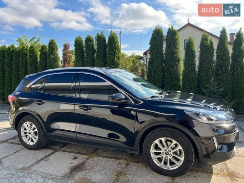 head