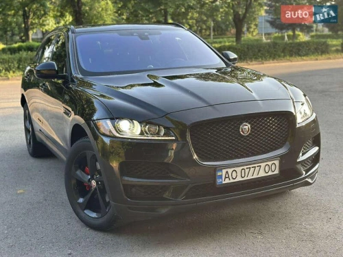 Jaguar
