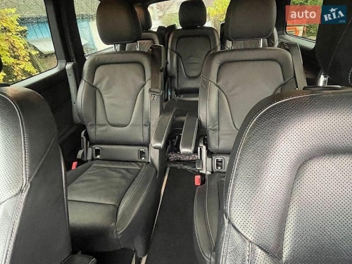 head