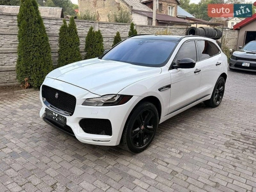 Jaguar