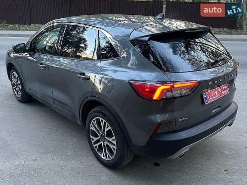 head