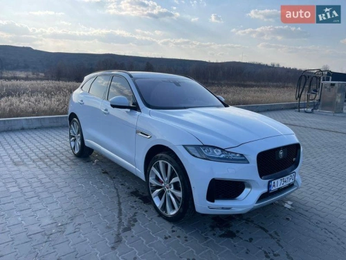 Jaguar