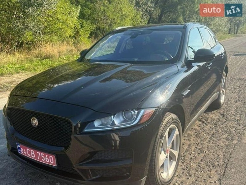 Jaguar