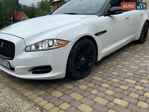 Jaguar