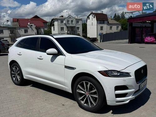 Jaguar
