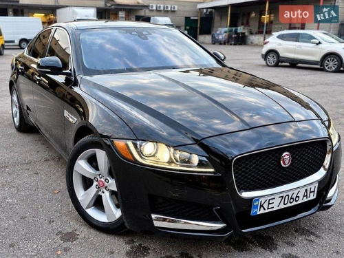 Jaguar