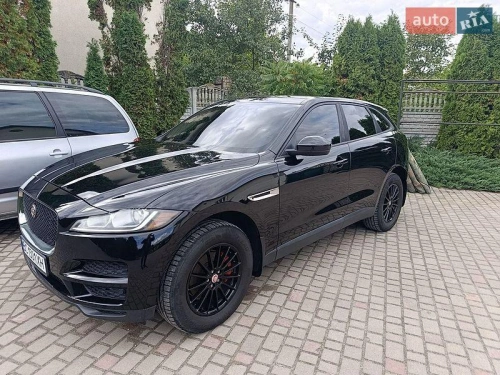 Jaguar