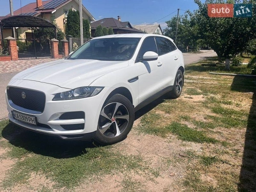 Jaguar