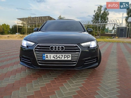 head