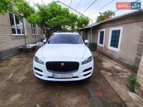 Jaguar