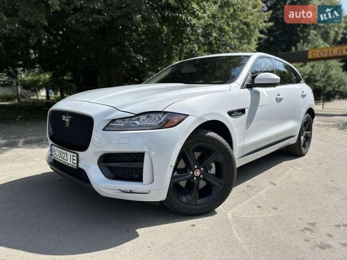 Jaguar