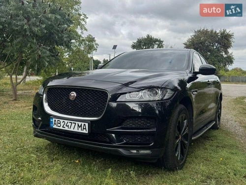 Jaguar