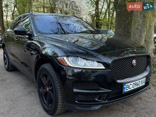 Jaguar