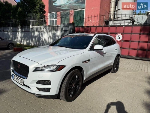 Jaguar
