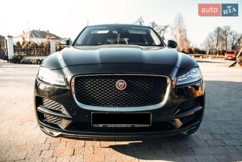 Jaguar