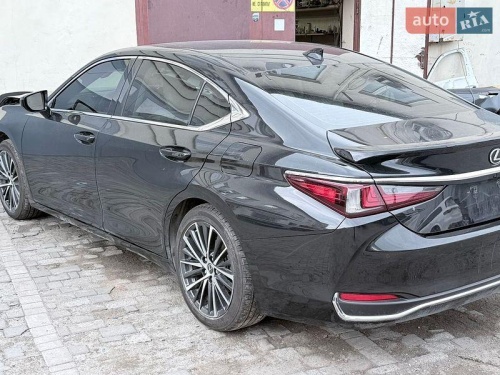 head
