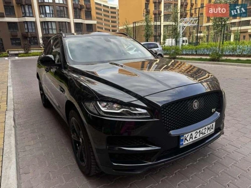 Jaguar