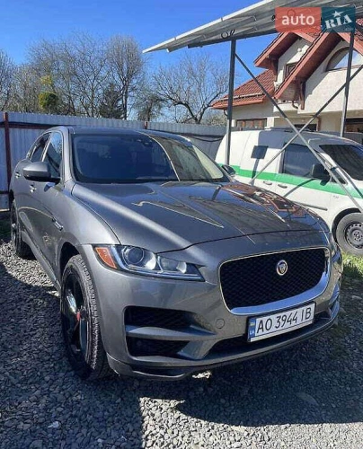 Jaguar