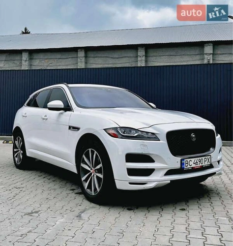 Jaguar