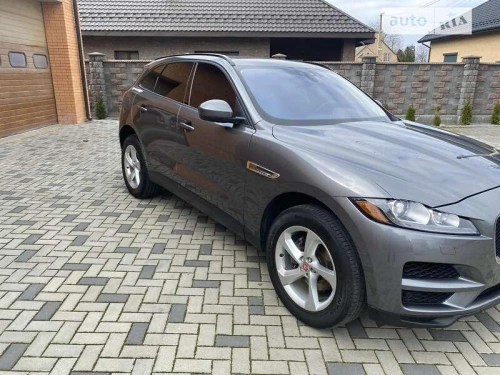 Jaguar