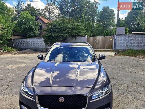 Jaguar