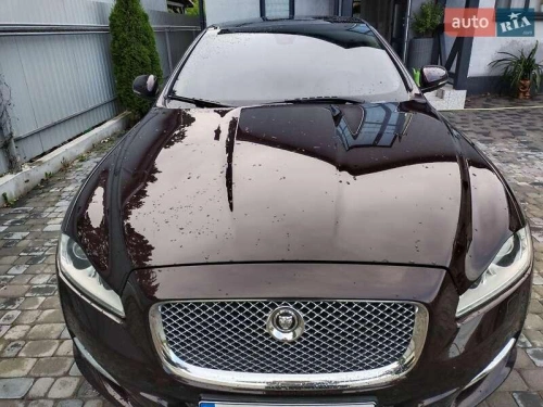 Jaguar